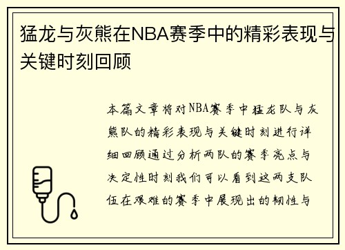 猛龙与灰熊在NBA赛季中的精彩表现与关键时刻回顾