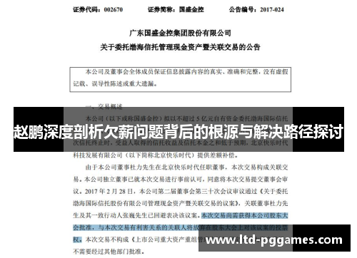 赵鹏深度剖析欠薪问题背后的根源与解决路径探讨
