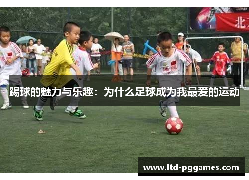 踢球的魅力与乐趣：为什么足球成为我最爱的运动