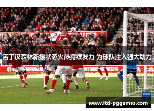 诺丁汉森林新援状态火热持续发力 为球队注入强大动力 诺丁汉森林新援状态火热持续发力 为球队注入强大动力